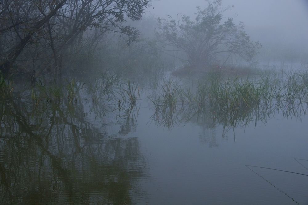 nsC00509.jpg