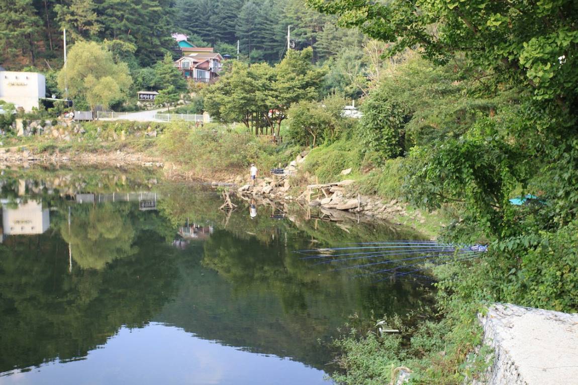 115.jpg