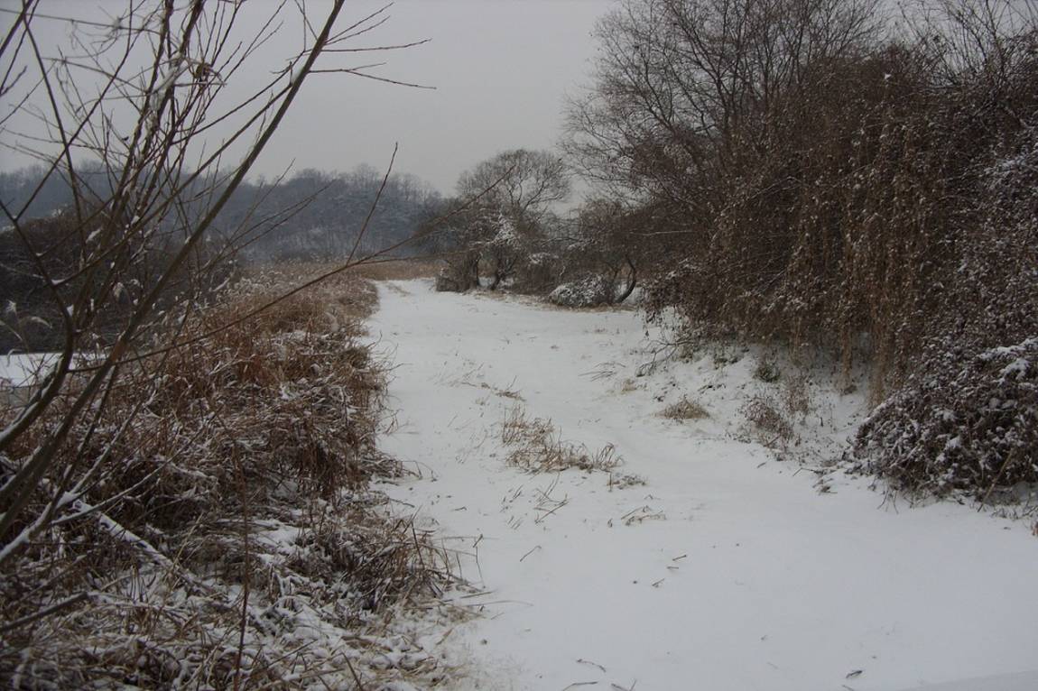 86.jpg