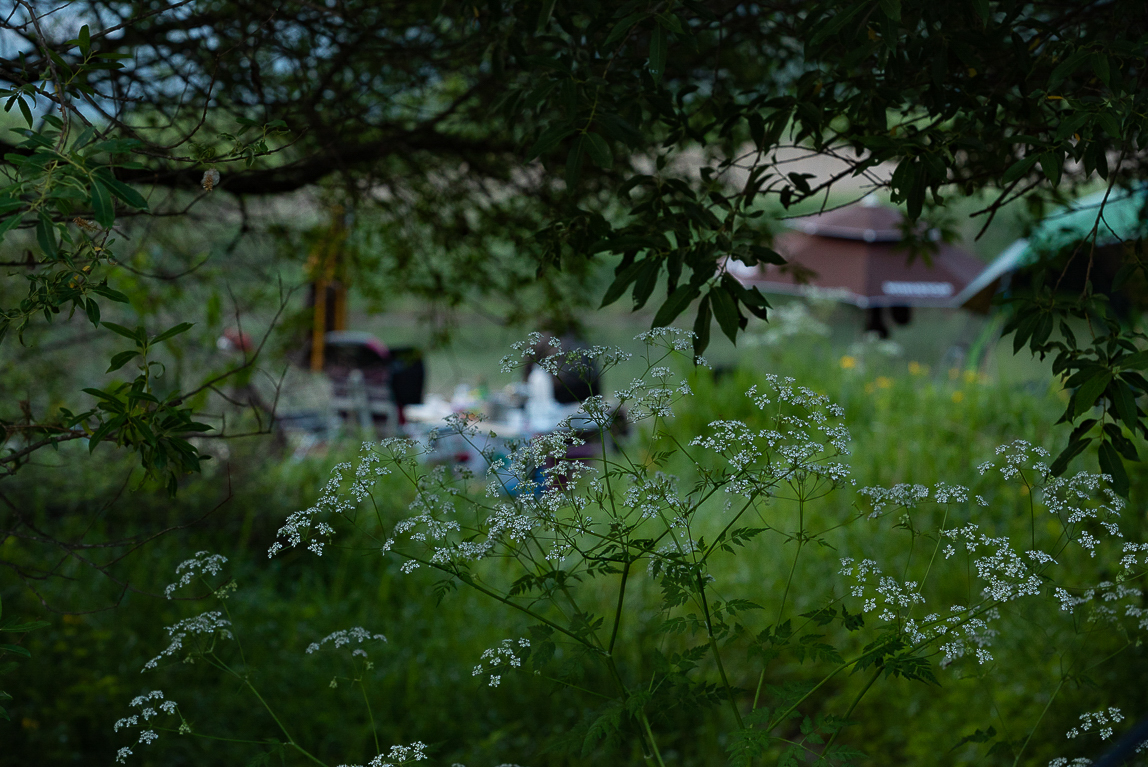 DSC09920.jpg