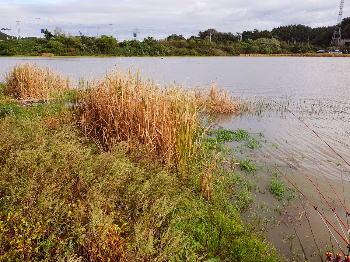 20181006_152348´ë1.jpg