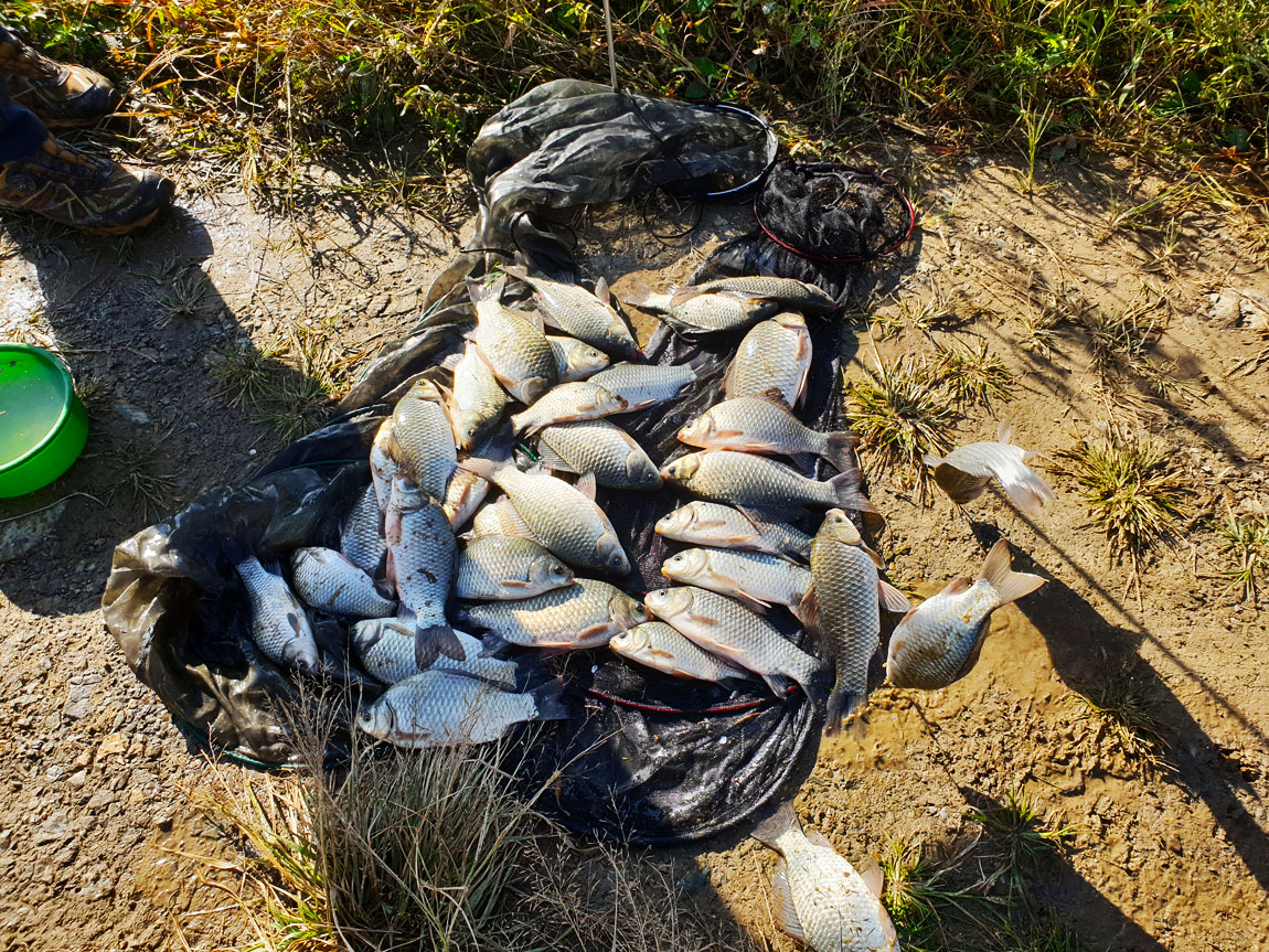 20181007_090302´ë17.jpg