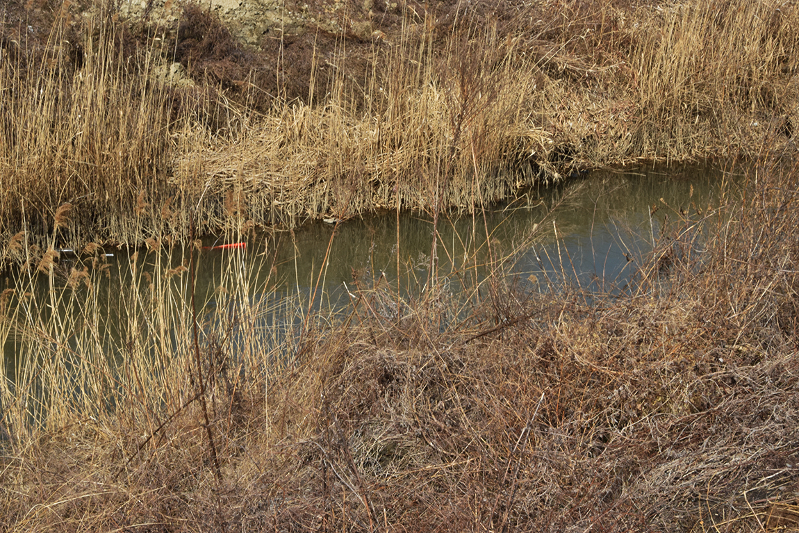 DSC_010521.jpg