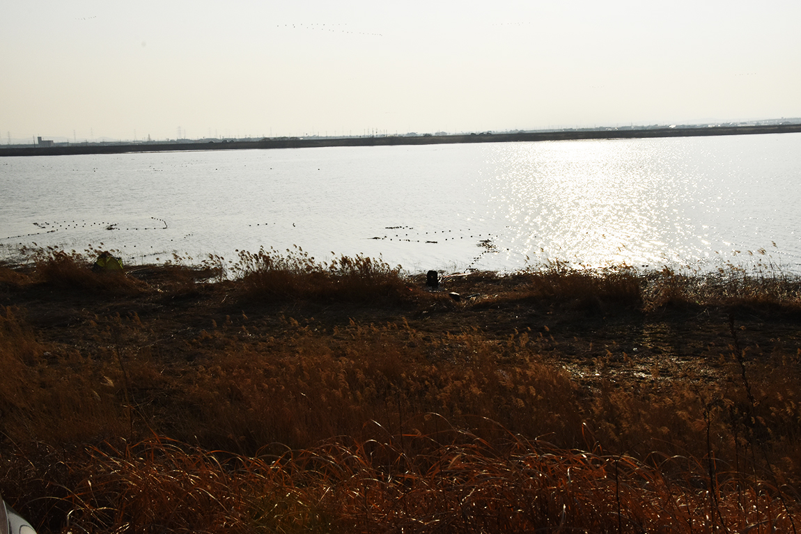 DSC_007125.jpg