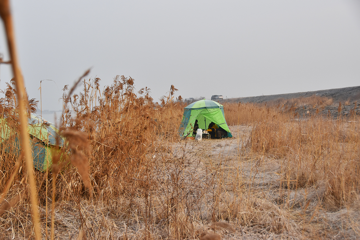 DSC_023032.jpg