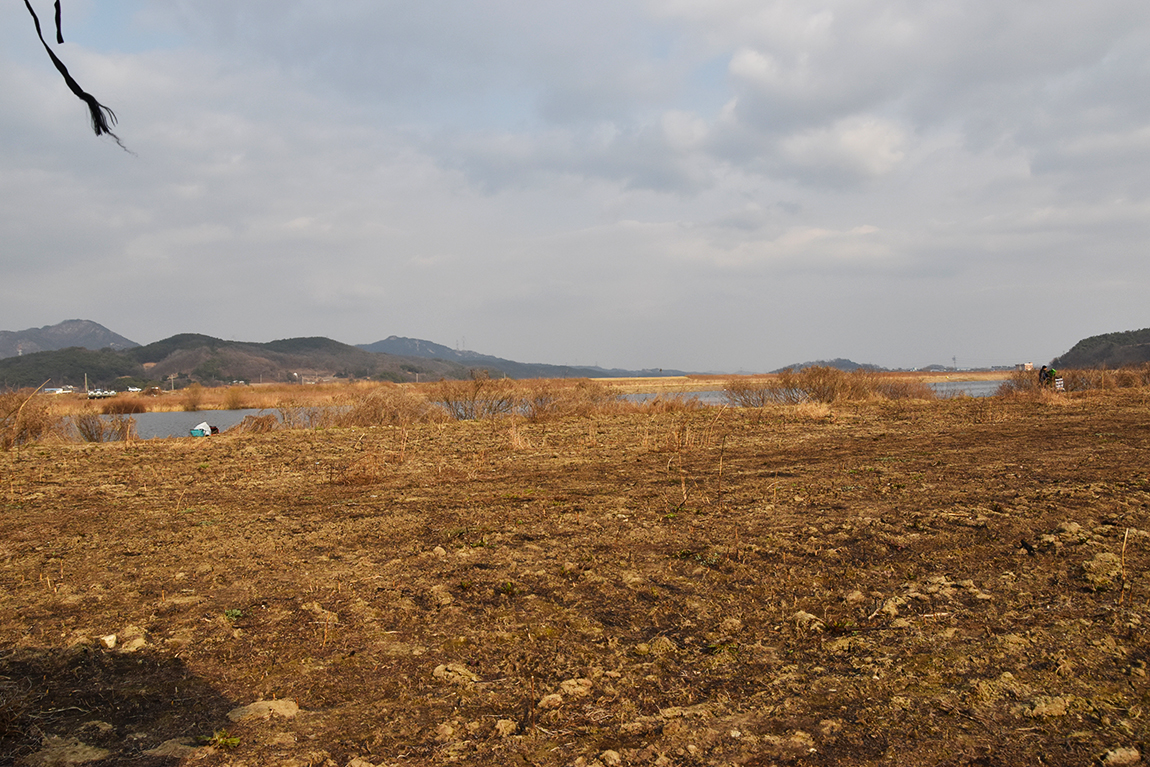 DSC_003830.jpg