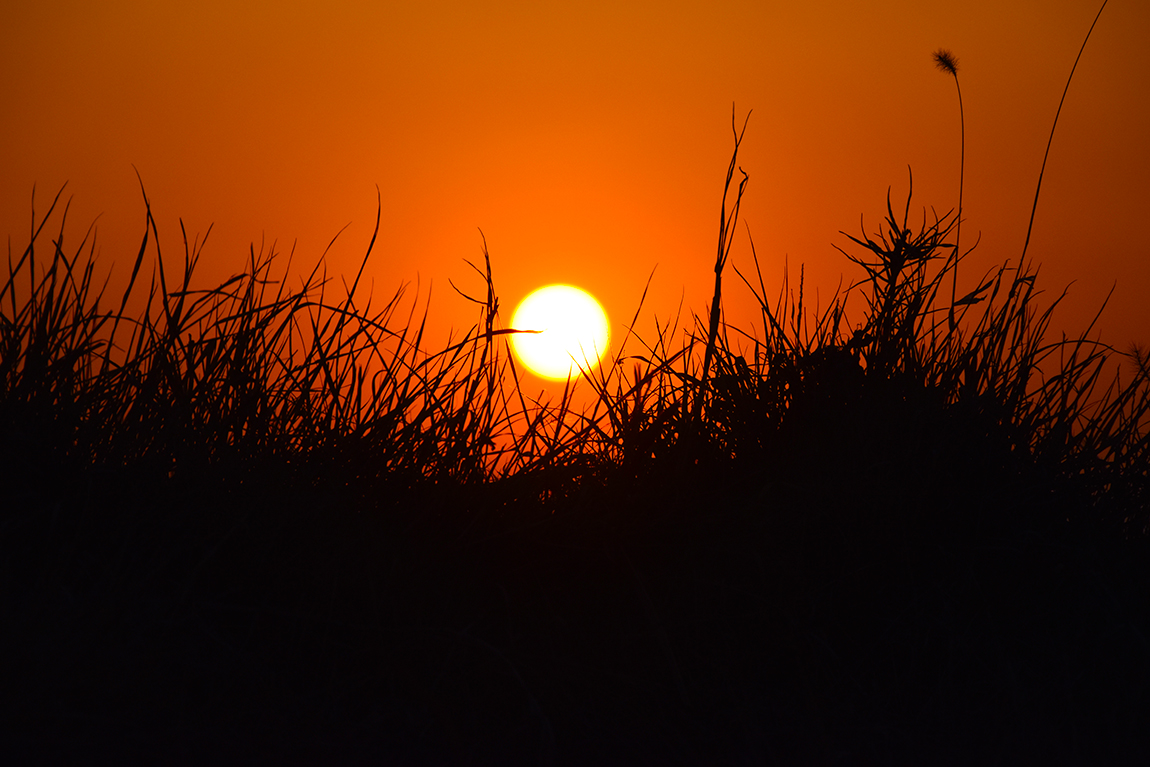 DSC_005439.jpg