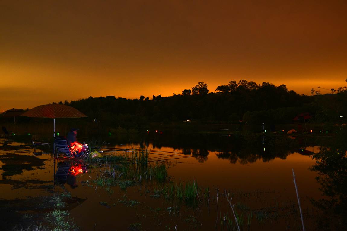 19A_8648.jpg