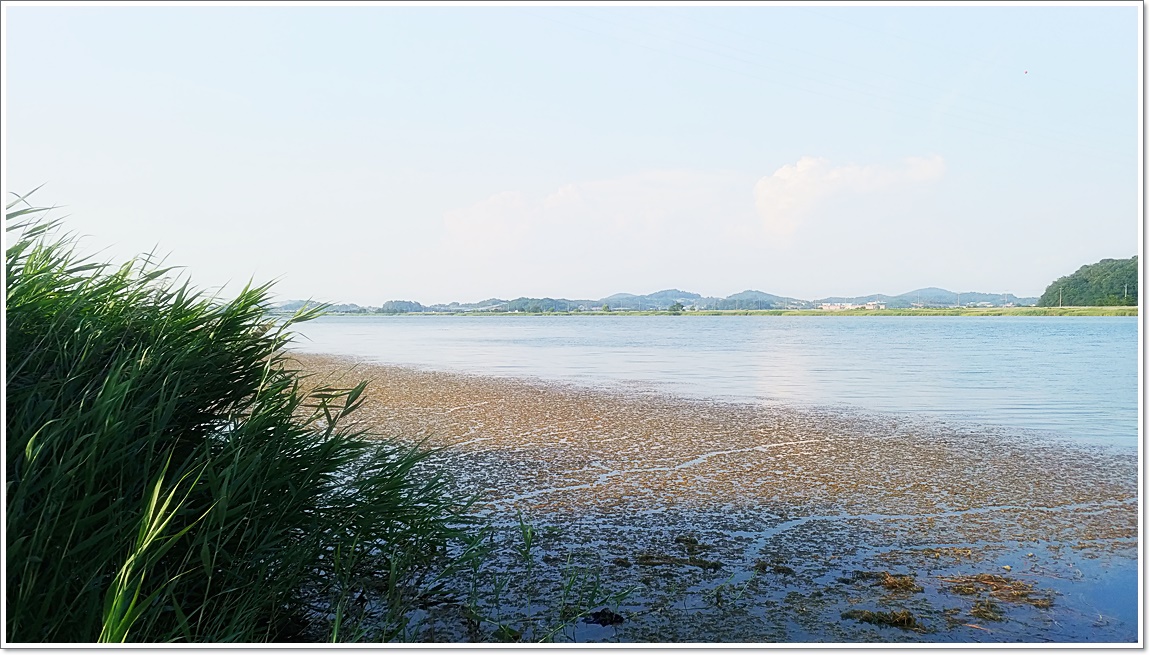 20190622_180437.jpg