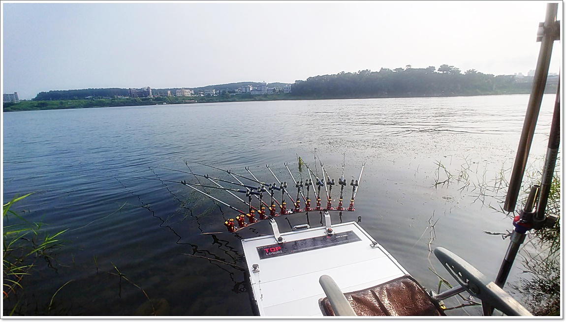 20190817_170442_HDR.jpg