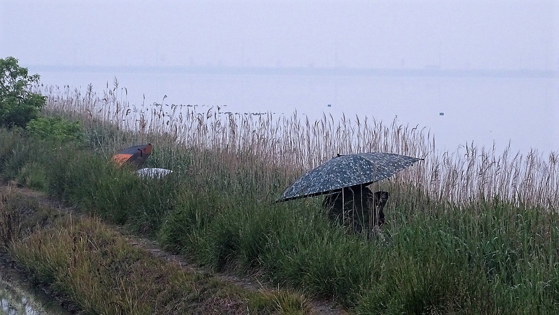 8.JPG