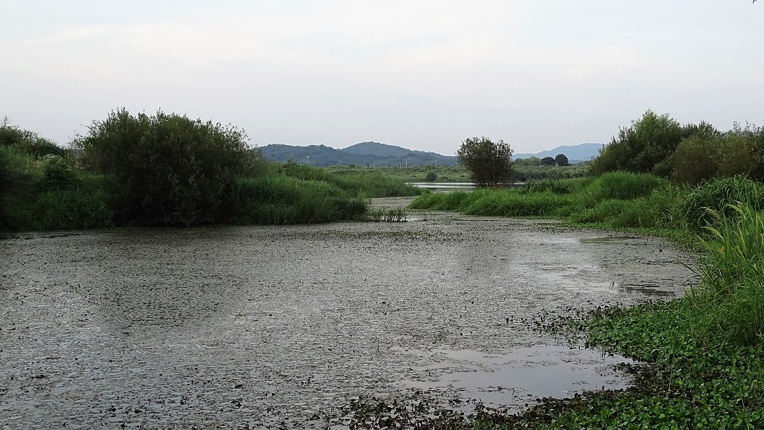 DSC01484 - 복사본.JPG