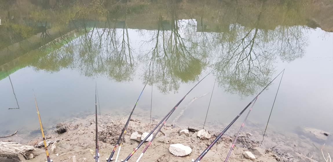 20190331_070709.jpg