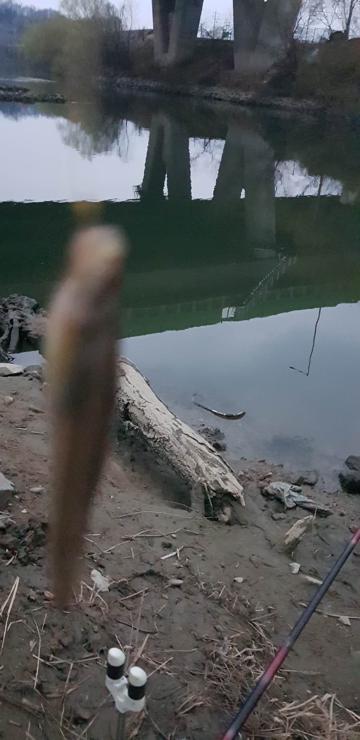 20190331_061204.jpg