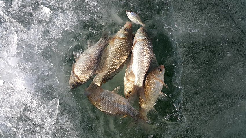 20160203_141032.jpg