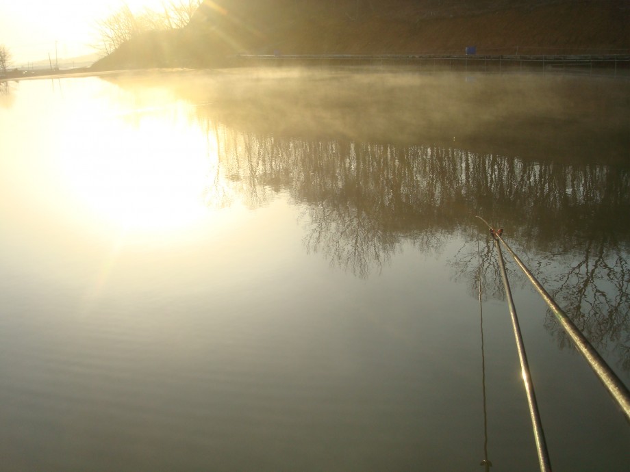 ~~~주중 조황 정보~~~