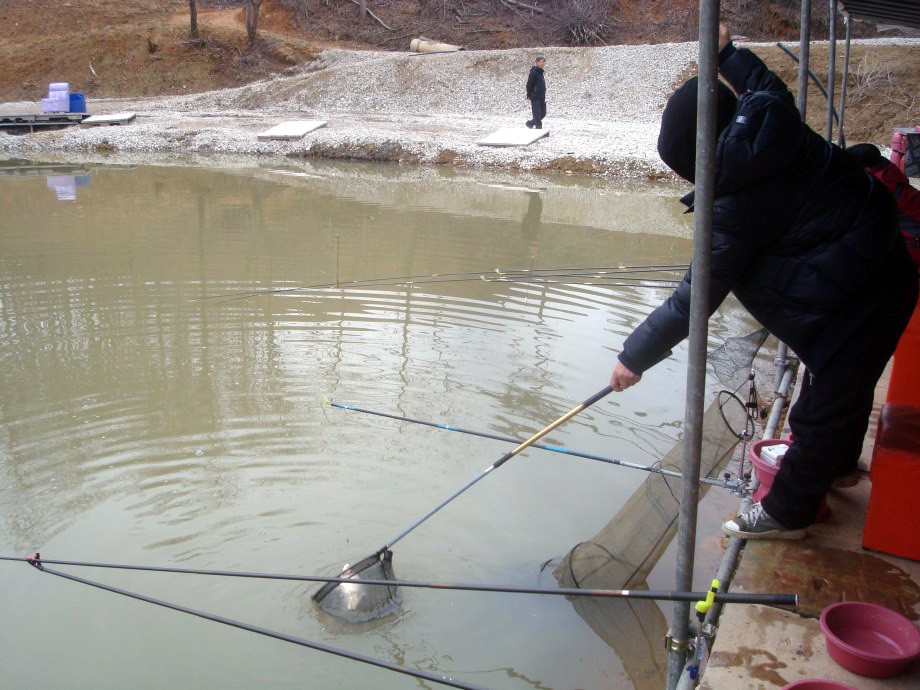 ~~~주말 조황 입니다~~~