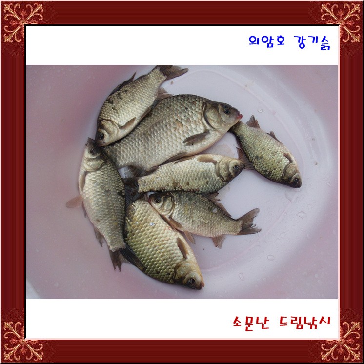 의암호 강기슭,소문난 드림낚시 조황 입니다.