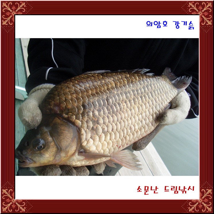 의암호강기슭,소문난드림낚시,조황과 풍광,시설입니다.