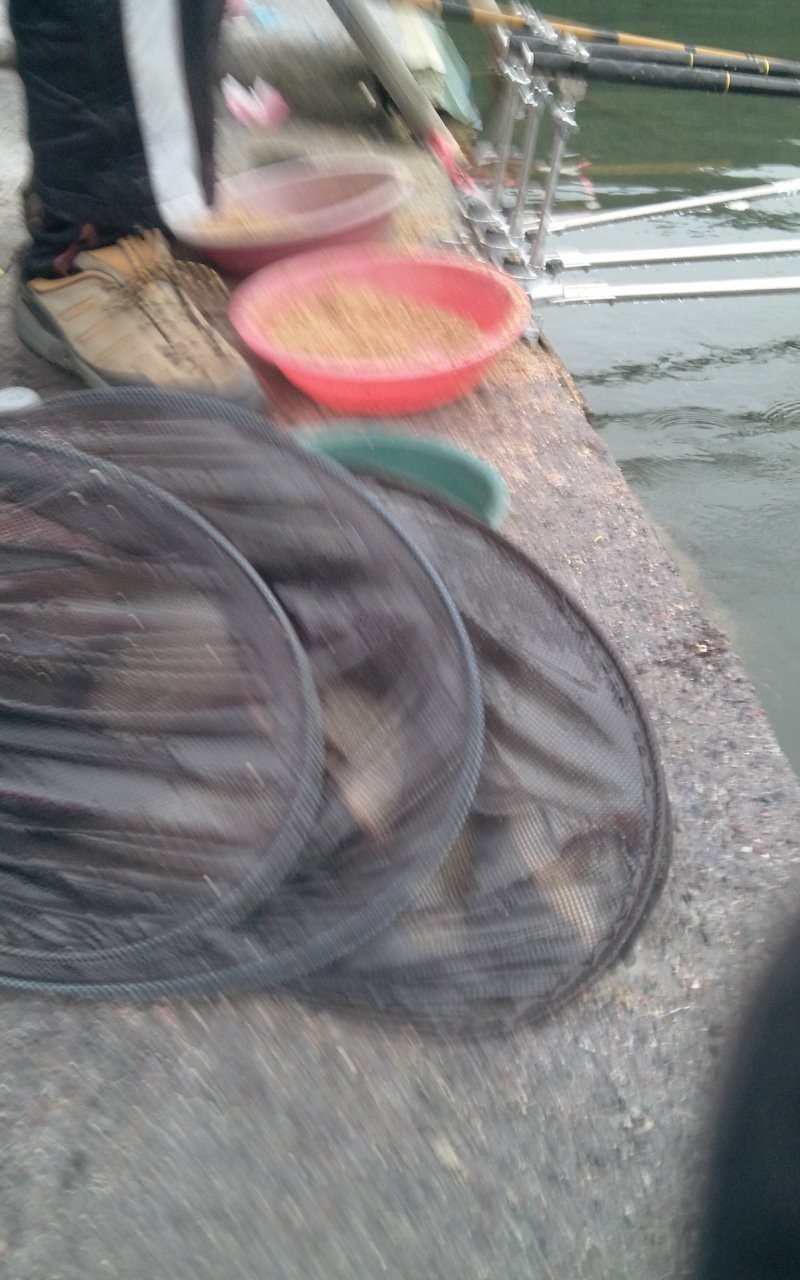 1371047442.jpg