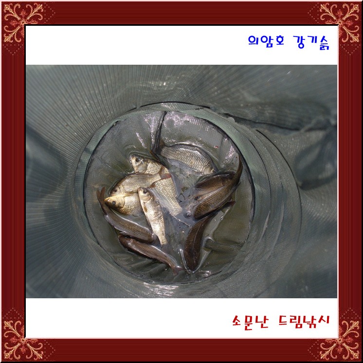 의암호 강기슭,소문난 드림낚시 조황과 풍광입니다.