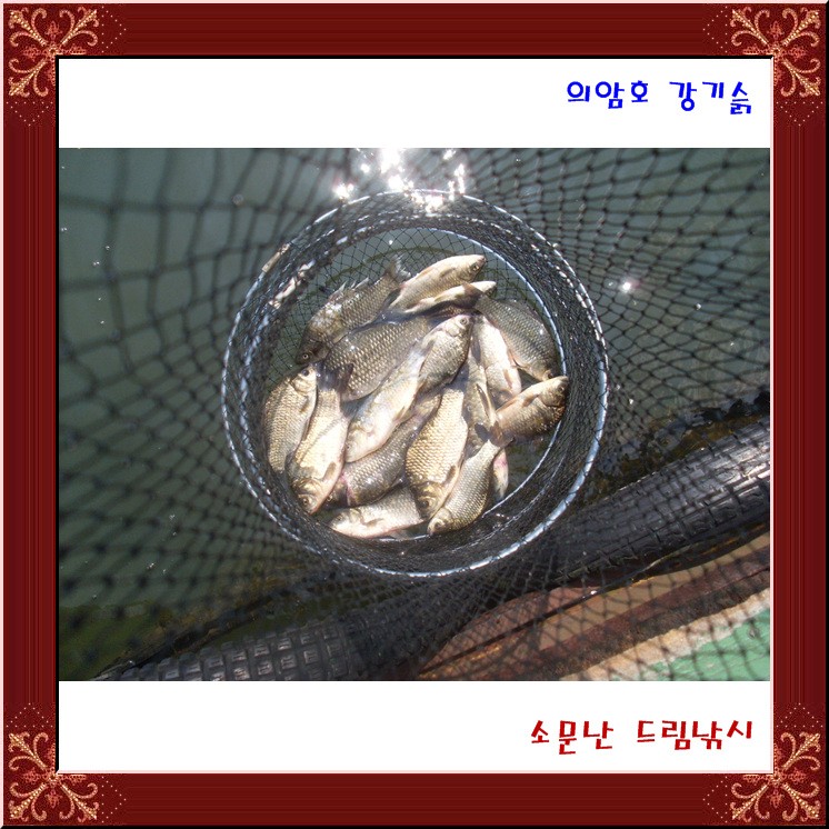 의암호 강기슭, 소문난 드림낚시 입니다.