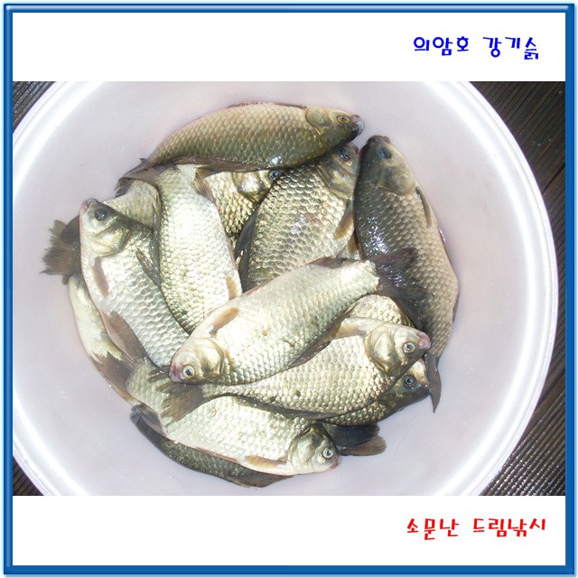 빙어낚시좀 보시지요,아주 시원하게.