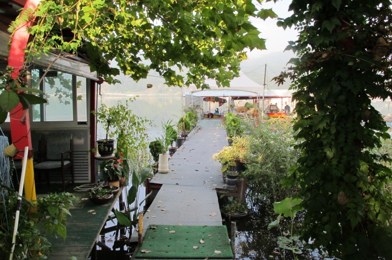 춘천 의암호 자갈섬낚시터 화요일 아침조황입니다