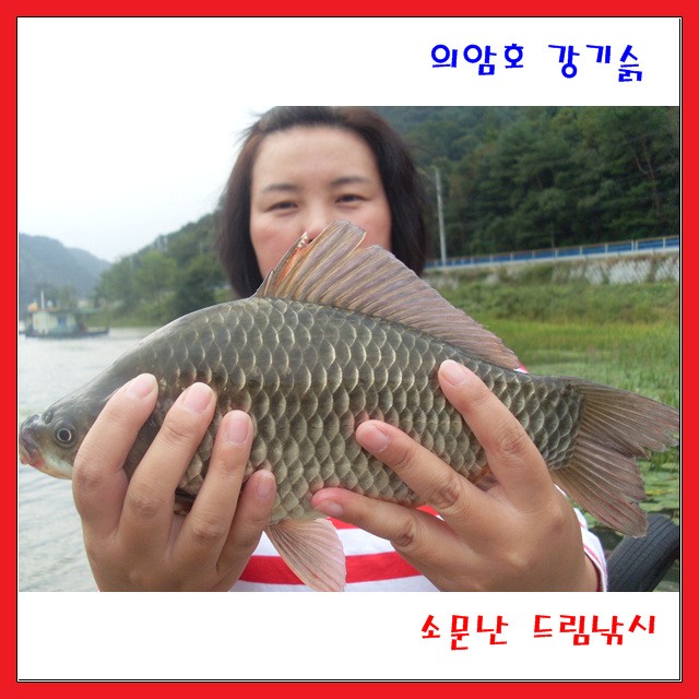 오늘도토종월척외,의암호,소문난드림낚시입니다.