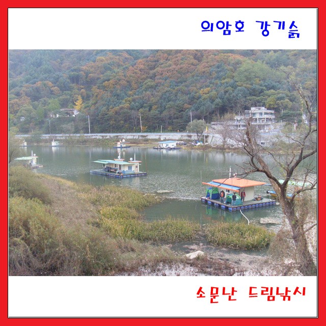 붕어보다더좋은,이것이 있습니다.의암호강기슭,소문난드림낚시입니다.