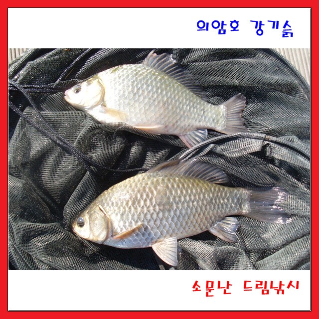 오늘조황 맟 풍광입니다.