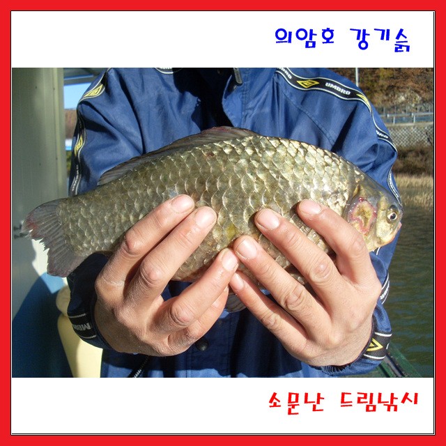 원망 스러운 배스