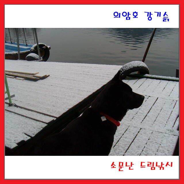 이런 경혐 처음 입니다._