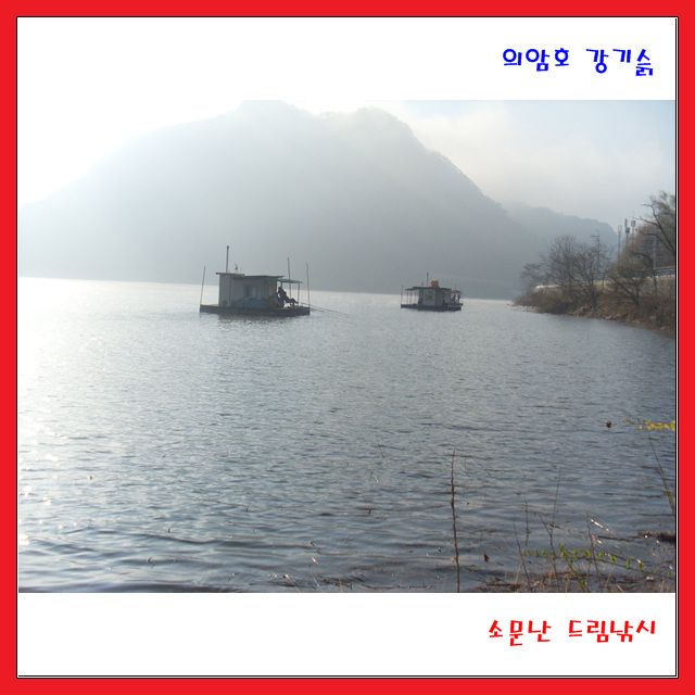 SL381554.jpg