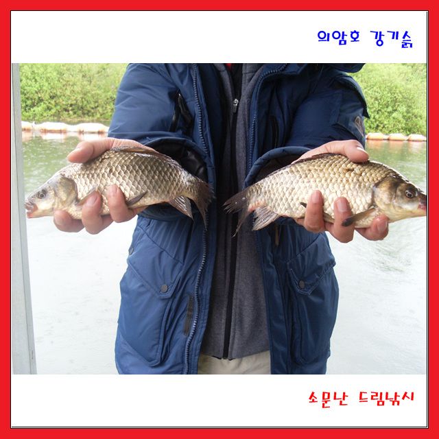 힐링 이신지요, 아님 붕어 이신가요?