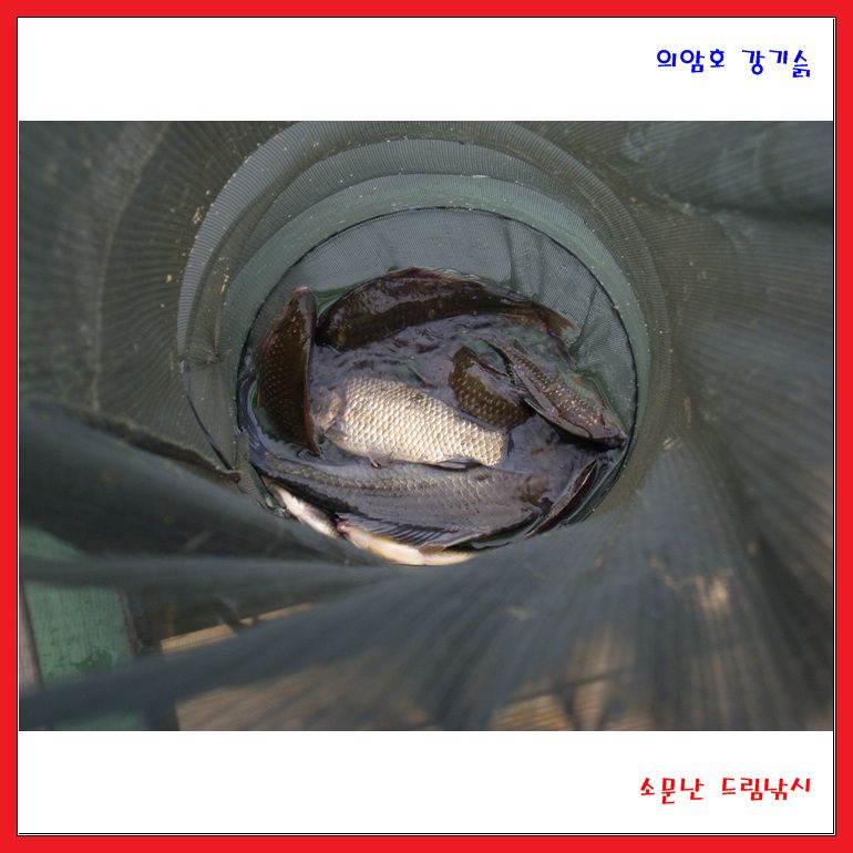 어제 못 보신 분들을 위하여.