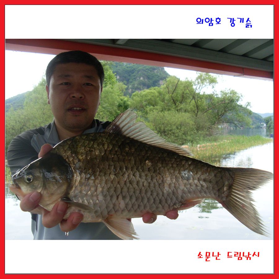 4짜가 자주 나오네요.