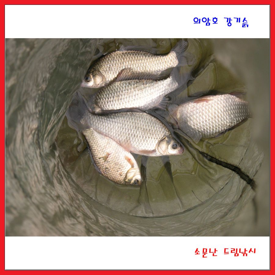 금,토,일.조황 입니다.