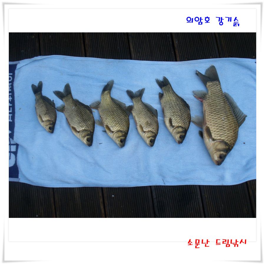 여름포인트,아주좋습니다.