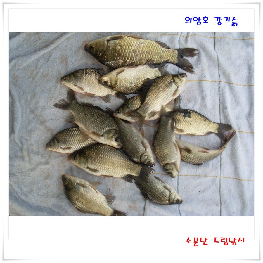 일찍 일어나는 새가 뭐 어쩐다더니?