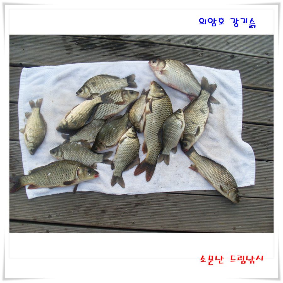 여름 휴가 예약 받습니다.