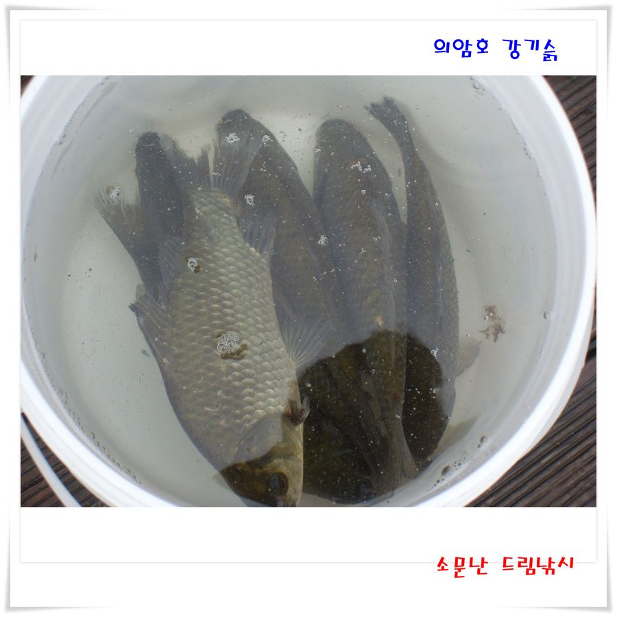 조황 보시고 예약 하십시오.