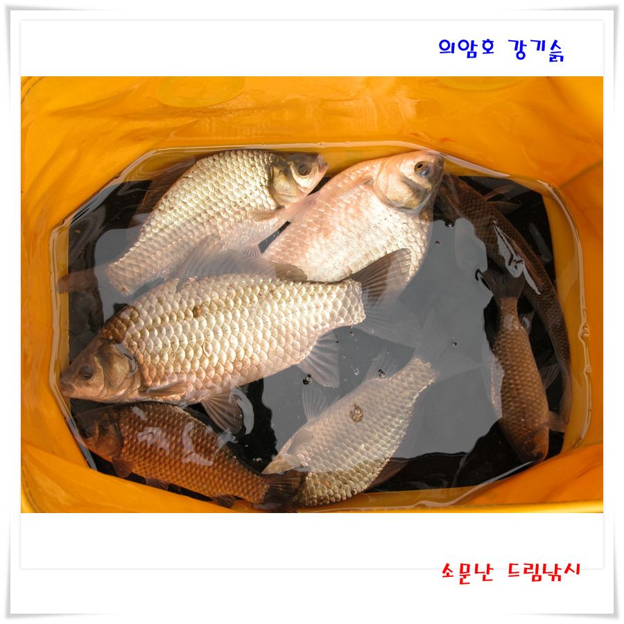 여름 휴가의 끝 자락에서.