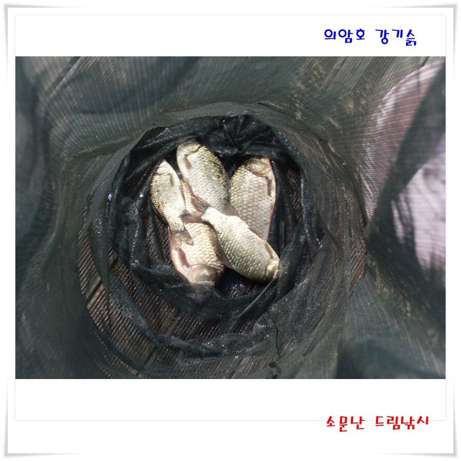 주말 조황 입니다.