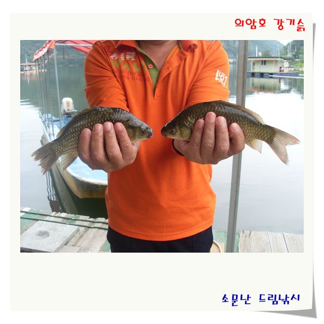 이번 주 조황 입니다.