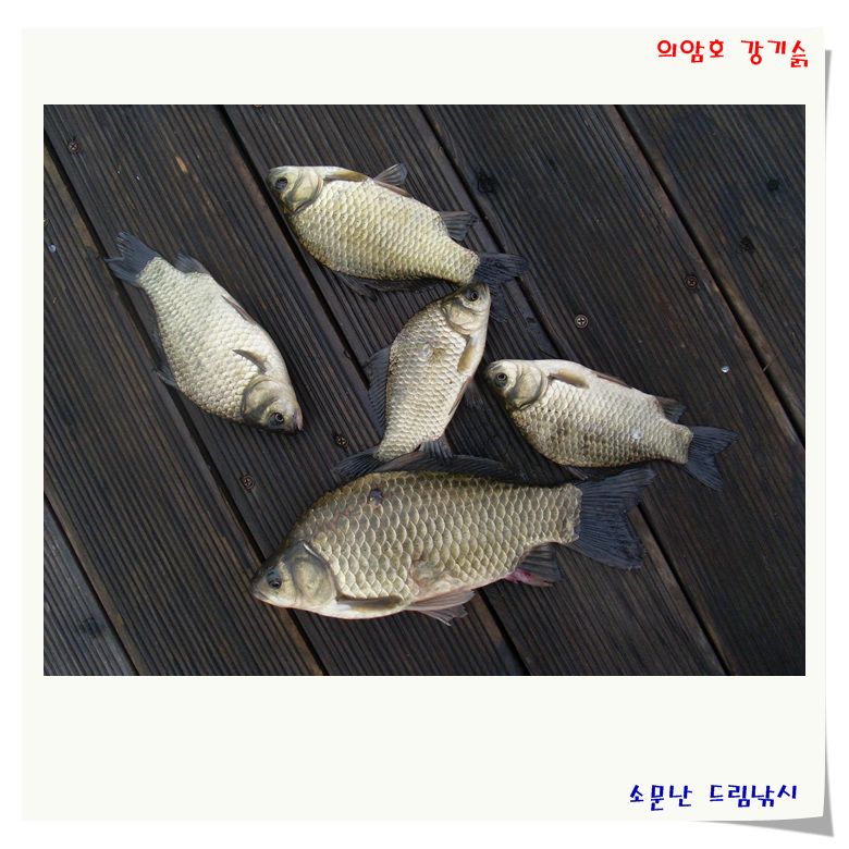 비오는 날 의 수채화.