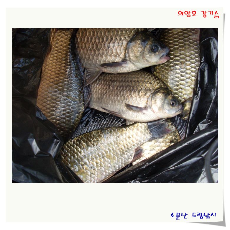 대박, 추석 선물인가 봅니다.