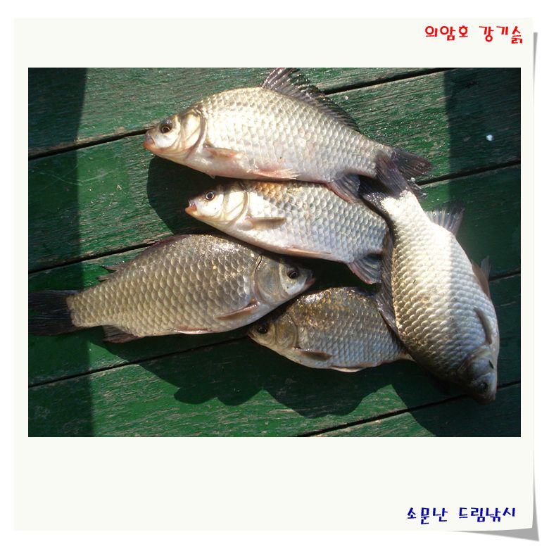 즐거운 중추절 아침 입니다.