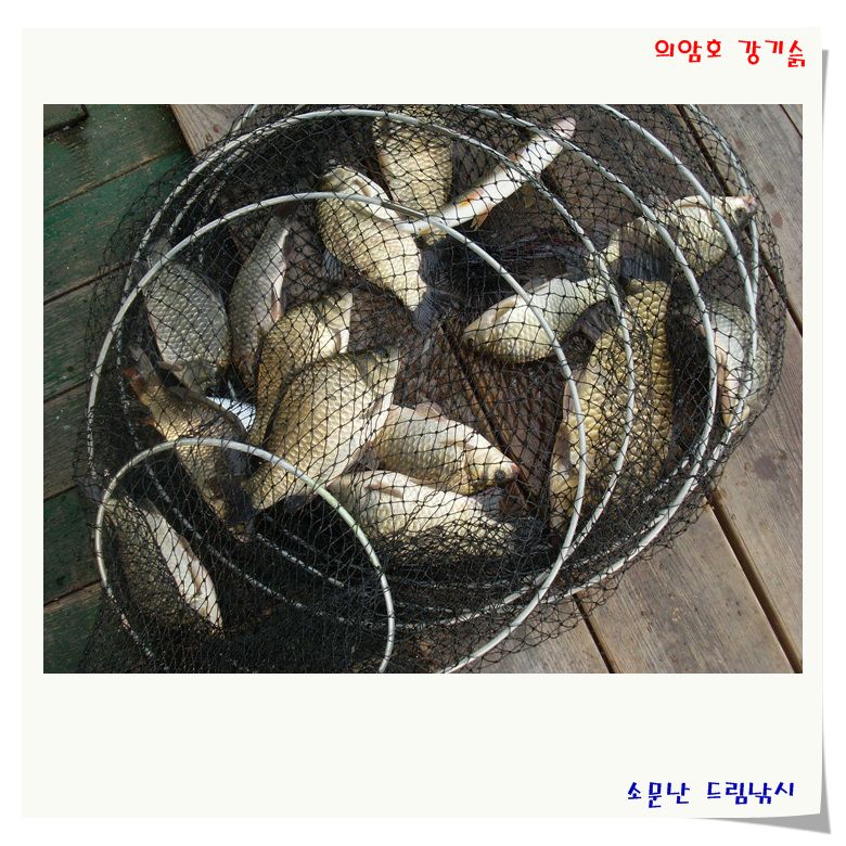 손 맛 을 단단히 보셨습니다.