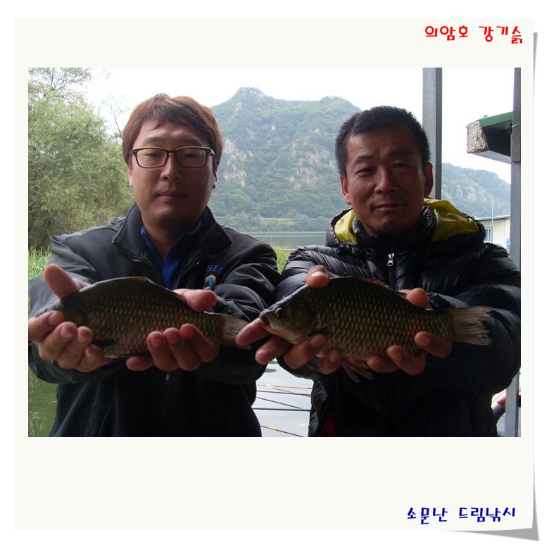 붕어들,만수위에서 나온.